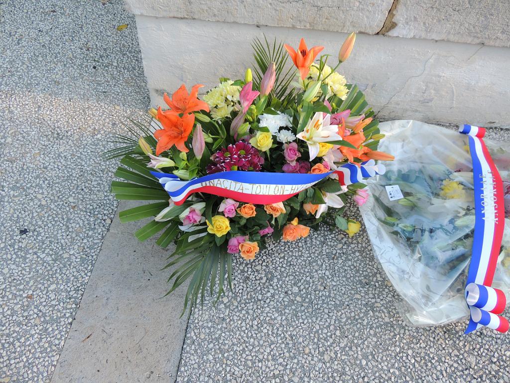 2022 12 05 TOULON HOMMAGE AUX MORTS POUR LA FRANCE EN AFN (13).JPG -           